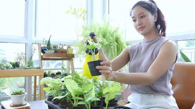 亚洲妇女园丁在家里的花园里给植物浇水。视频素材