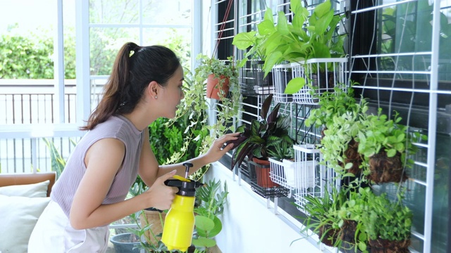 亚洲妇女园丁在家里的花园里给植物浇水。视频素材