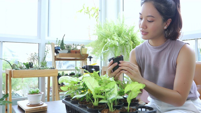 亚洲妇女园丁在家里的花园里给植物浇水。视频素材