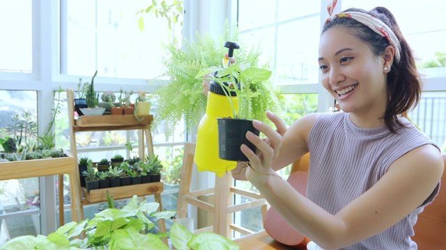 亚洲妇女园丁在家里的花园里给植物浇水。视频素材