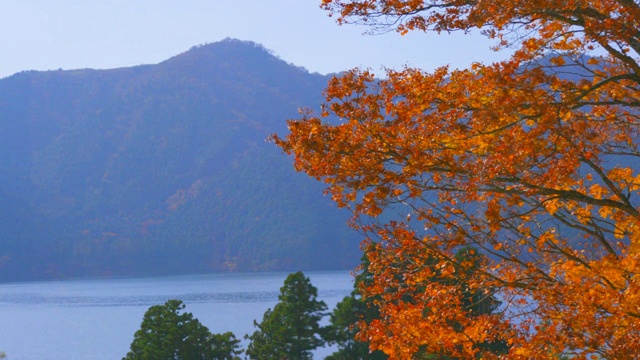 富士山/富士山视频素材