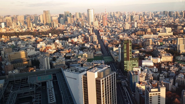 高角度观景东京城市和东京塔视频素材