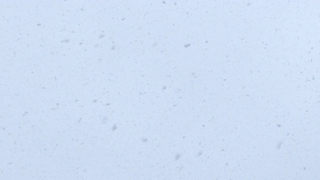 寒冷的天空下着雪，速度适中视频素材