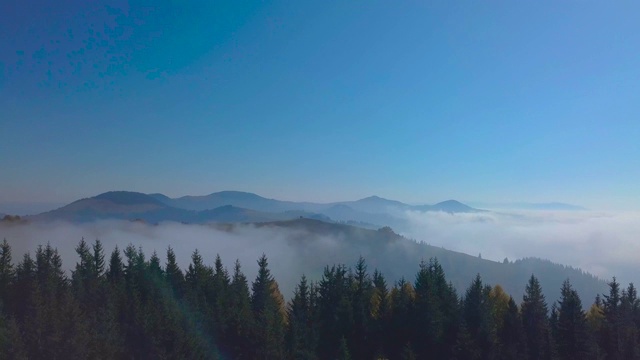 在大雾弥漫的山林中飞翔视频素材