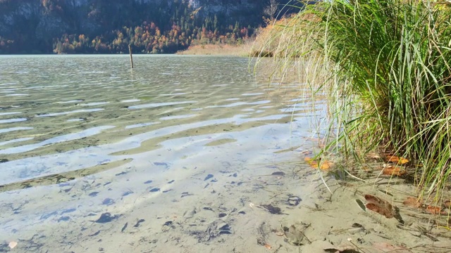 秋季高山奥芬西湖，萨尔兹卡默古特，上奥地利视频素材