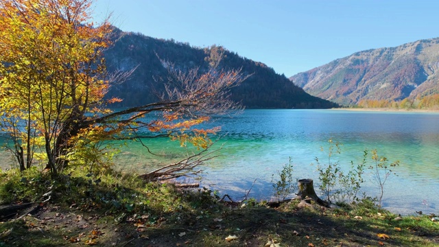 秋季高山奥芬西湖，萨尔兹卡默古特，上奥地利视频素材