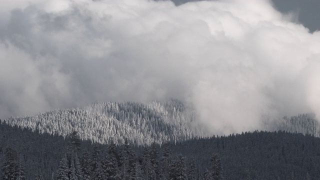 云翻滚在积雪覆盖的森林景观视频素材