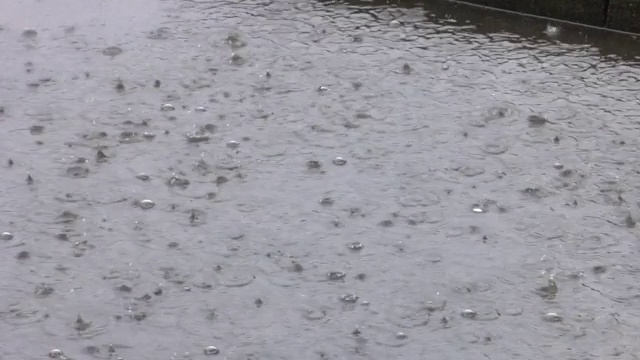 雨滴在水坑里荡漾。雨滴在水上形成的圆圈。视频素材