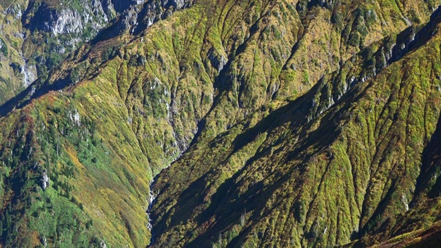 令人惊叹的秋色自然植被和雪山山峰视频素材