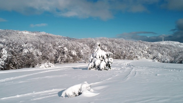 美丽的雪景视频素材