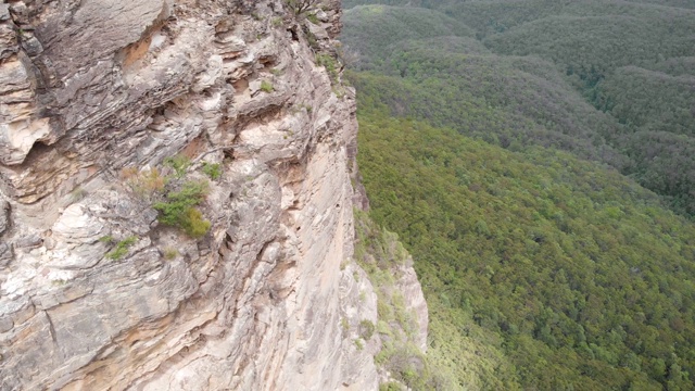 蓝山国家公园视频素材