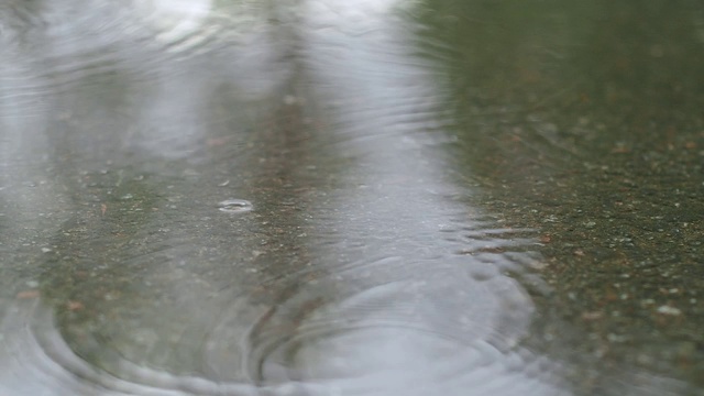 雨滴落下的特写慢动作。水坑俯视图。视频素材