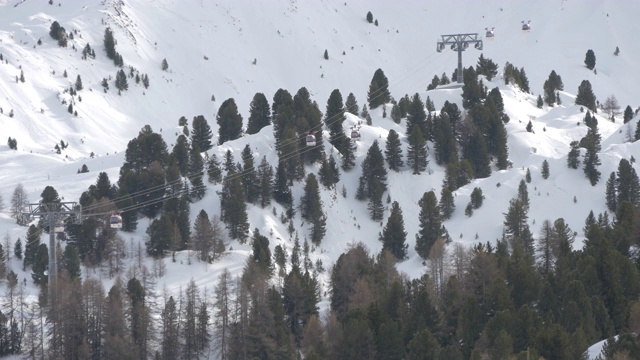 山上有冷杉和雪视频素材