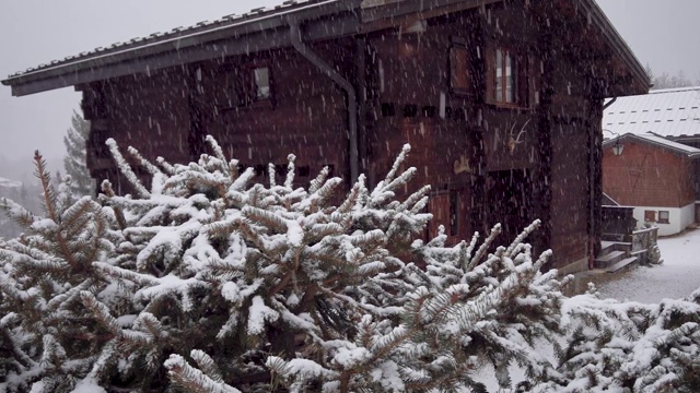 农村下大雪。雪花落在云杉的树枝上，背景是一座美丽的木屋视频素材