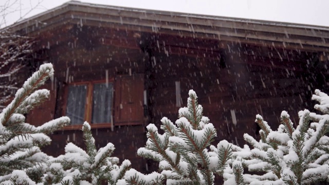 农村下大雪。雪花落在云杉的树枝上，背景是一座美丽的木屋视频素材