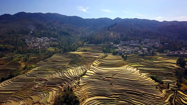 鸟瞰图，无人机在中国云南元阳稻田上空飞行视频素材