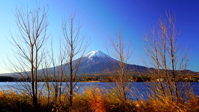 富士山与草地前景，川口湖，日本视频素材