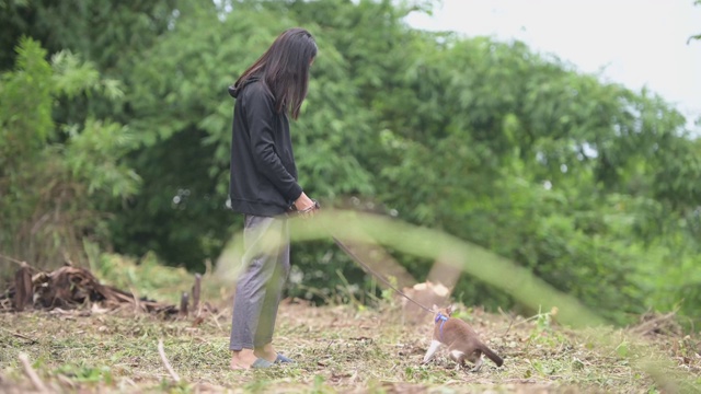 一个女孩戴着口罩带着一只猫在花园散步，隔离传染病时间视频素材