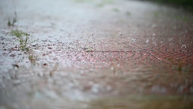 雨和风吹绿树在白天的时间视频素材