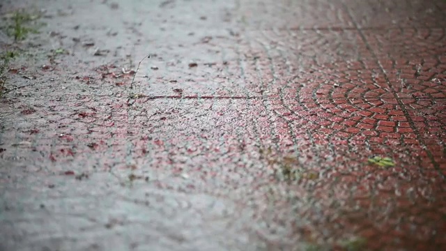 雨和风吹绿树在白天的时间视频素材