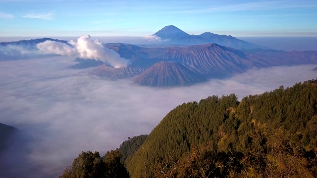 富士山与草地前景，川口湖，日本视频素材