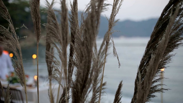 海滩婚礼装饰视频素材