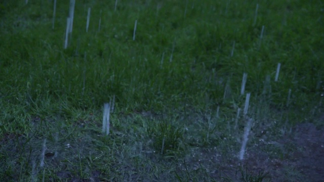 一滴大雨落在绿色的草坪上视频素材