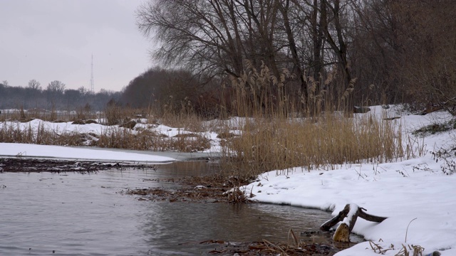 冬天的风景，雪躺在河岸上的一条未结冰的河视频素材