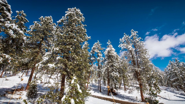 科罗拉多雪融化的延时视频素材