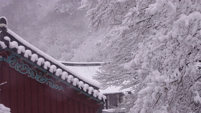 韩国全罗南道，若溪山/顺天溪松光沙寺的冬季雪景视频素材