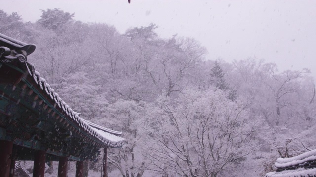 韩国全罗南道，若溪山/顺天溪松光沙寺的冬季雪景视频素材