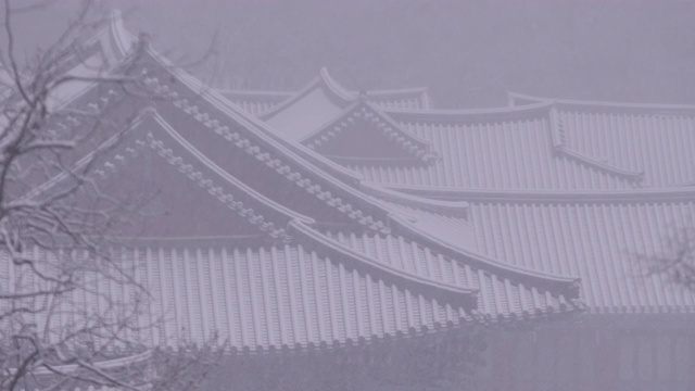 韩国全罗南道，若溪山/顺天溪松光沙寺的冬季雪景视频素材