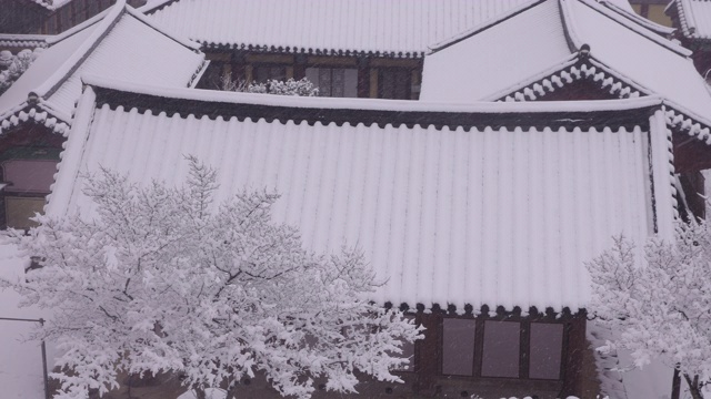 韩国全罗南道，若溪山/顺天溪松光沙寺的冬季雪景视频素材