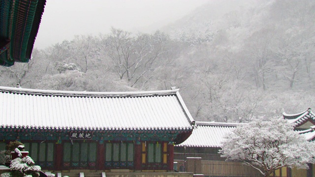 韩国全罗南道，若溪山/顺天溪松光沙寺的冬季雪景视频素材