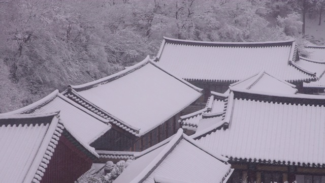 韩国全罗南道，若溪山/顺天溪松光沙寺的冬季雪景视频素材