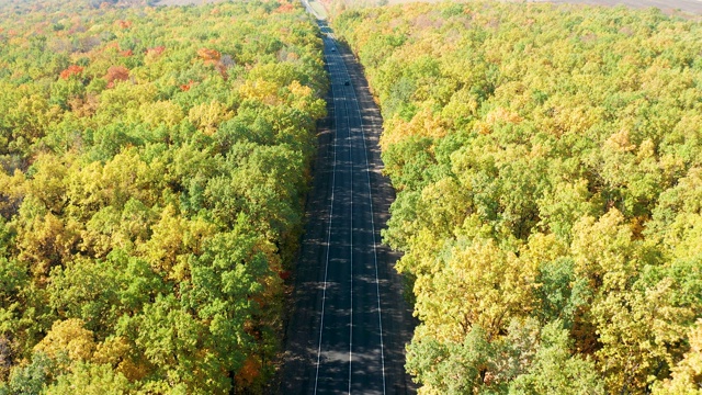 航拍视频，一条沥青公路穿过一片秋天的黄色森林，汽车在上面比赛视频素材