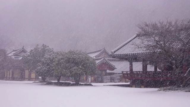 韩国全罗南道，若溪山/顺天溪松光沙寺的冬季雪景视频素材