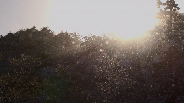 冬季暴风雪/全罗南道顺天寺，韩国视频素材