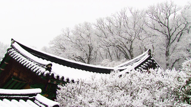 韩国全罗南道，若溪山/顺天溪松光沙寺的冬季雪景视频素材