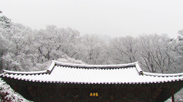 韩国，全罗南道，若溪山，顺天溪松光沙寺，光泉寺，冬天的雪景视频素材