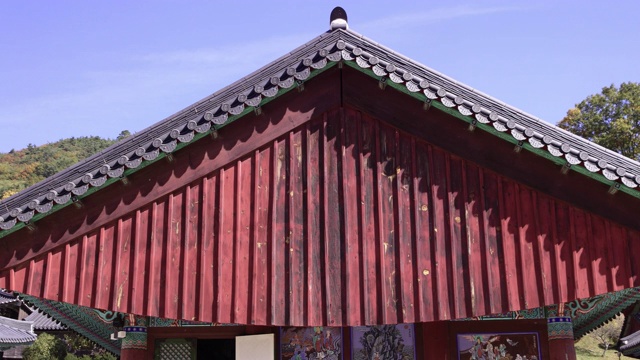 阳光和阴影躺在韩国全罗南道，九溪山/顺天溪松光沙寺视频素材