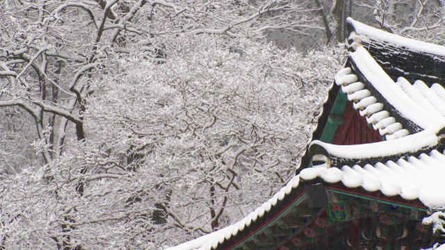 韩国全罗南道，若溪山/顺天溪松光沙寺的冬季雪景视频素材