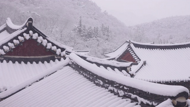 韩国全罗南道，若溪山/顺天溪松光沙寺的冬季雪景视频素材