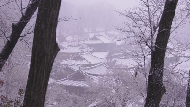 韩国全罗南道，若溪山/顺天溪松光沙寺的冬季雪景视频素材