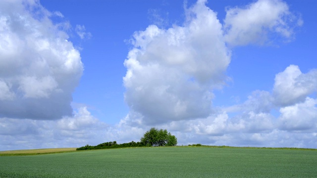 春天的田野景观，Reinheim, Odenwald, Hesse，德国视频素材