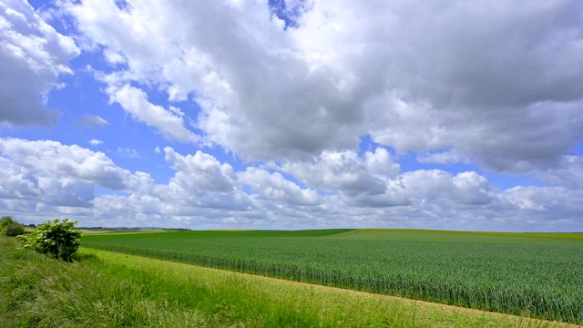 春天的田野景观，Reinheim, Odenwald, Hesse，德国视频素材