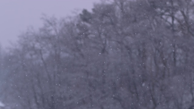 雪景/忠州寺，忠清北道，韩国视频素材