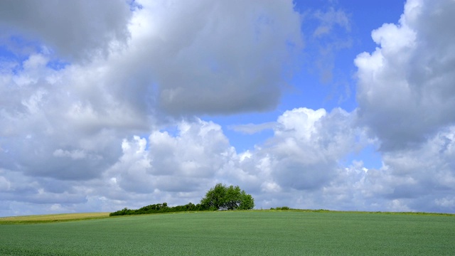 春天的田野景观，Reinheim, Odenwald, Hesse，德国视频素材