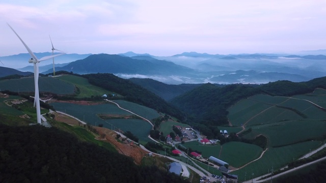 “Anbandegi”田(风景优美的白菜地)和带雾的风力涡轮机/江陵溪，江源道，韩国视频素材