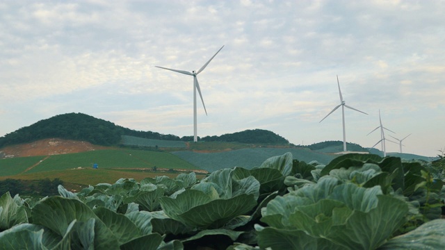 “Anbandegi”田(风景优美的白菜地)和风力涡轮机/江陵溪，江原道，韩国视频素材